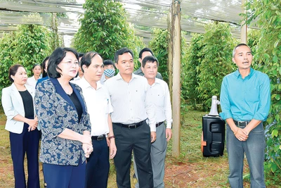 Phó Giáo sư-Tiến sĩ Nguyễn Danh: Công nghệ cao là xu thế tất yếu