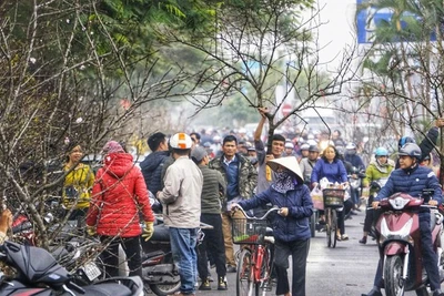 Nhàn đàm: Những ngày áp tết