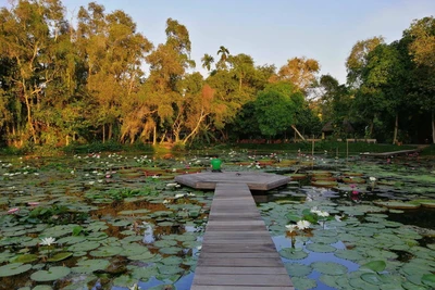 Tour một ngày không 'cưỡi ngựa xem hoa' khám phá Đồng Tháp