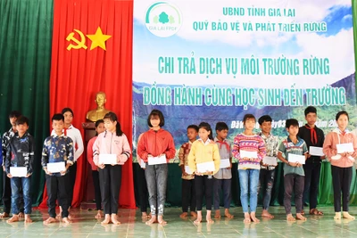 Quỹ Bảo vệ và Phát triển rừng tỉnh Gia Lai tặng quà, trao học bổng cho học sinh vùng sâu