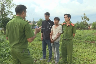 Trộm bò từ Khánh Hòa rồi thuê xe chở lên Đắk Lắk bán