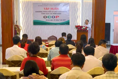 Sở Nông nghiệp và PTNT Gia Lai tập huấn Chương trình OCOP năm 2020