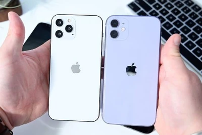 Apple đón tin vui trước ngày ra mắt iPhone 12