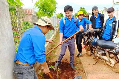 Đak Đoa ra quân chiến dịch thanh niên tình nguyện hè 2020