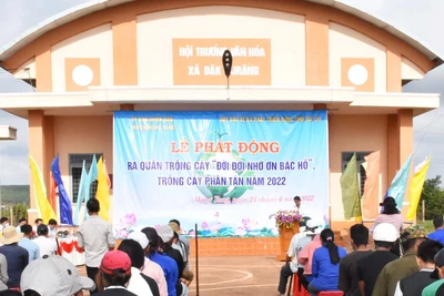 Mang Yang: Phát động trồng cây "Đời đời nhớ ơn Bác Hồ"