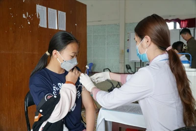 Lâm Đồng: Tồn 150.000 liều vaccine sẽ hết hạn trong tuần tới