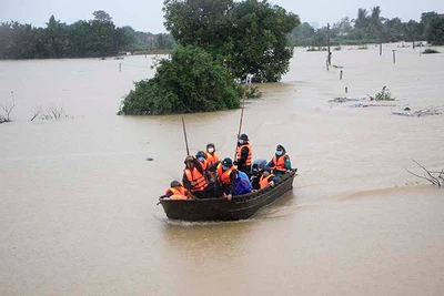 Gia Lai chủ động ứng phó với bão số 1 và mưa lớn sau bão