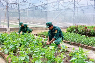 "Thực túc, binh cường"