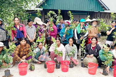 Tuyên truyền, phổ biến giáo dục pháp luật cho phụ nữ huyện Đak Pơ và Kbang