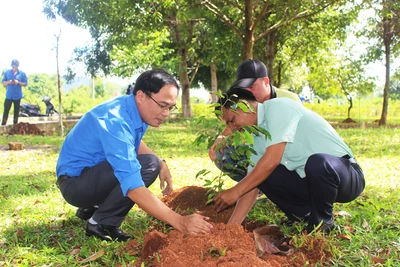 Tổ chức chiến dịch thanh niên tình nguyện "Kỳ nghỉ hồng" tại thị trấn Ia Ly