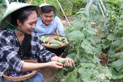 Tọa đàm quảng bá du lịch và xúc tiến thương mại Việt Nam tại Israel