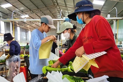 Đưa nông sản Tây Nguyên xuất ngoại