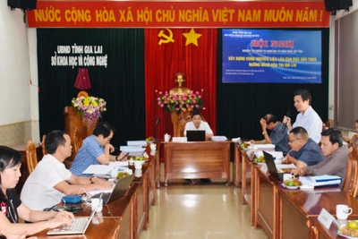 Gia Lai: Nghiệm thu dự án xây dựng vùng nguyên liệu lúa cạn đặc sản địa phương