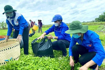 Cơ hội thể hiện nhiệt huyết và sức sáng tạo