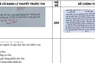 Khởi tố 2 cựu giáo viên ĐH Sư phạm Hà Nội liên quan lộ đề thi THPT 2021