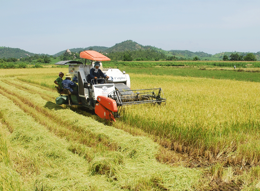 Đường 7: Xưa và nay...