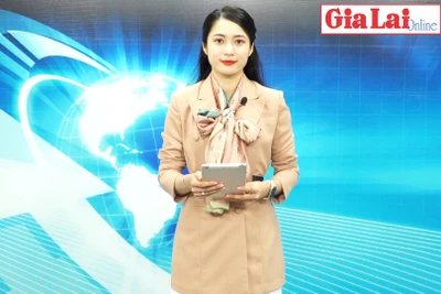 Gia Lai 48h: Siết chặt quản lý thuế trong hoạt động kinh doanh vận tải