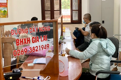 Hơn 66.400 người ở Gia Lai tham gia bảo hiểm thất nghiệp