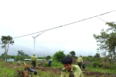 Hạt Kiểm lâm huyện Kông Chro trồng 2.500 cây xanh