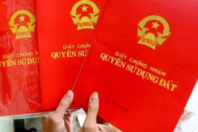 Thông tin thêm bài viết "Ngang nhiên đòi cấp sổ đỏ trên đất của Nghĩa trang Liệt sĩ tỉnh"