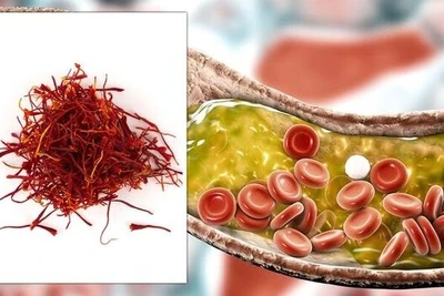 Phát hiện mới: Loại thảo dược này làm giảm 50% mức cholesterol chỉ sau 3 tuần