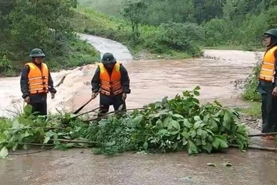 Thủ tướng: Tập trung khắc phục hậu quả và chủ động ứng phó với áp thấp nhiệt đới, mưa lũ tại miền Trung