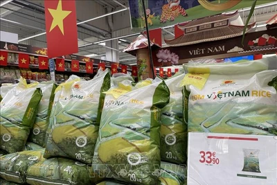 Cơm Việt Nam Rice - xúc cảm khi rút ví