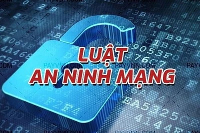 Bộ Tài chính và Bộ Công an trả lời cử tri Gia Lai về quản lý tài sản; ban hành Nghị định hướng dẫn thực hiện Luật An ninh mạng năm 2018