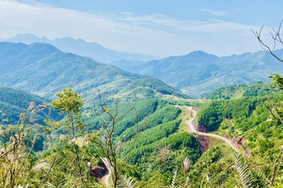 Bình Liêu mùa này có gì mà du khách tấp nập tìm đến