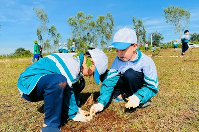 Cây lên xanh nhờ "hành động vô ý"