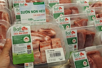 Sau "heo ăn chuối" của bầu Đức, một đại gia chăn nuôi tung... "heo ăn chay"