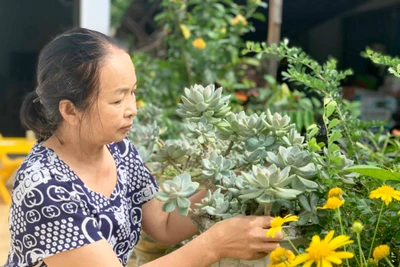 Người Gia Lai: "Yêu cây, yêu hoa hóa ra yêu đời"