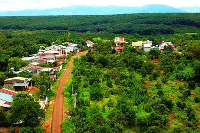 Măng Bát Độ "bén đất" Ia Chía