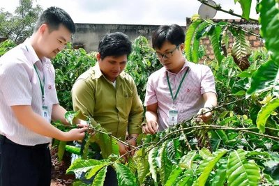 Mang Yang hỗ trợ kinh tế tập thể phát triển