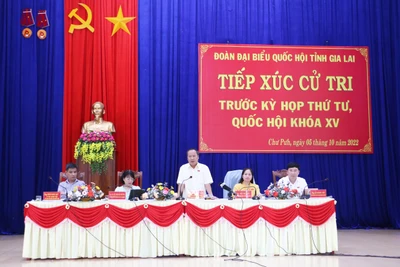 Trưởng đoàn đại biểu Quốc hội tỉnh Châu Ngọc Tuấn: Tập trung giải quyết những vấn đề nổi cộm, gây bức xúc dư luận