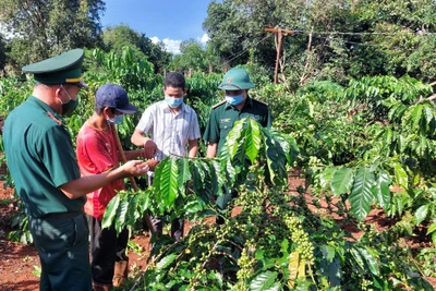 Bộ đội Biên phòng Gia Lai làm theo Bác bằng những việc cụ thể