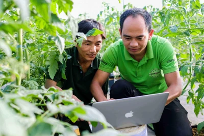 Lâm Đồng: Chuyển đổi số để người dân giảm đi lại làm các thủ tục