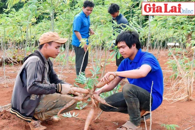 Tuổi trẻ Gia Lai gửi niềm tin, trao kỳ vọng