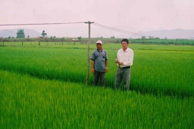 Chủ tịch Hội “khét mùi thuốc lá”