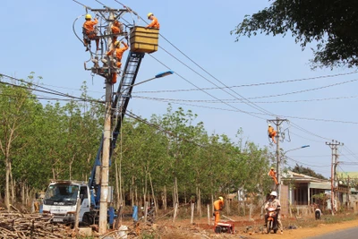 Gia Lai: Đảm bảo cung cấp điện bơm tưới cây trồng trong mùa khô