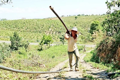 Chủ động ứng phó khô hạn