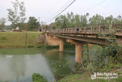 Nghệ An: 3 thanh niên dũng cảm cứu sống phụ nữ nhảy cầu tự vẫn