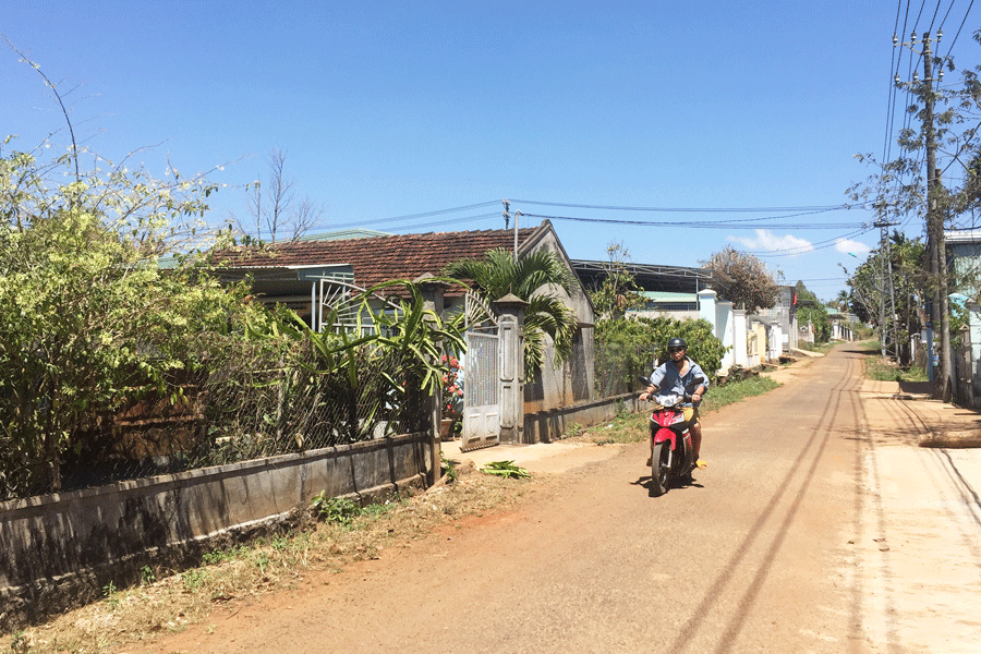 Thanh xuân gửi lại những cánh rừng