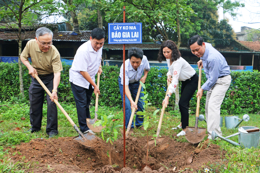 Báo Gia Lai trồng cây kơ nia tại Đền Hùng