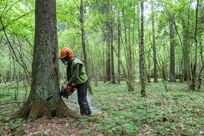 Bảo vệ rừng NS mới có thể đáp ứng mục tiêu bảo tồn, khí hậu