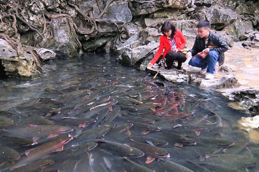 Người Mường làm du lịch