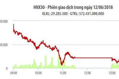 Chứng khoán 12-6: Lực bán ồ ạt, VN-Index lao dốc