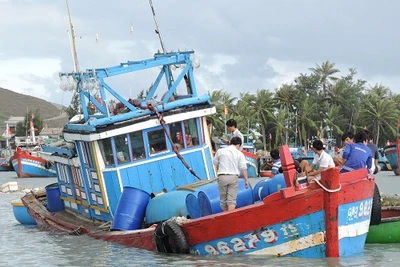 Quảng Ngãi: Cứu 31 ngư dân gặp nạn trên vùng biển Trường Sa