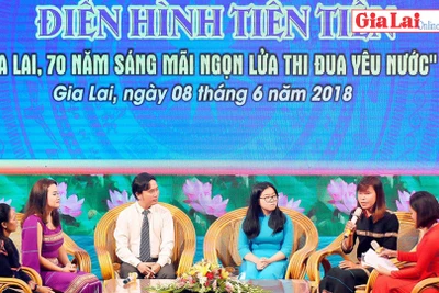 Giao lưu điển hình tiên tiến phong trào thi đua yêu nước tỉnh Gia Lai