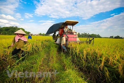 Ban hành Thông tư hỗ trợ cho vay phát triển nông nghiệp, nông thôn